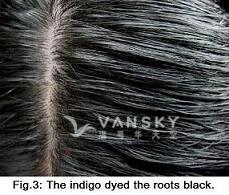 260514145831_Hair-Dyed with indigo-s.jpg
